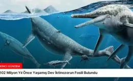 202 Milyon Yıl Önce Yaşamış Dev İktinozorun Fosili Bulundu