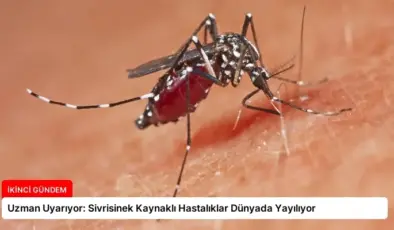Uzman Uyarıyor: Sivrisinek Kaynaklı Hastalıklar Dünyada Yayılıyor
