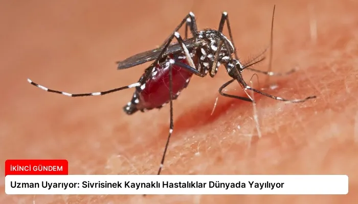 Uzman Uyarıyor: Sivrisinek Kaynaklı Hastalıklar Dünyada Yayılıyor