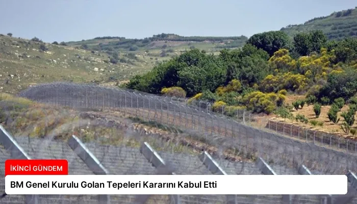 BM Genel Kurulu Golan Tepeleri Kararını Kabul Etti