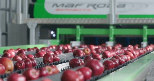 Egemas, 60. yılında endüstriyel dönüşüm hamlesi başlatıyor