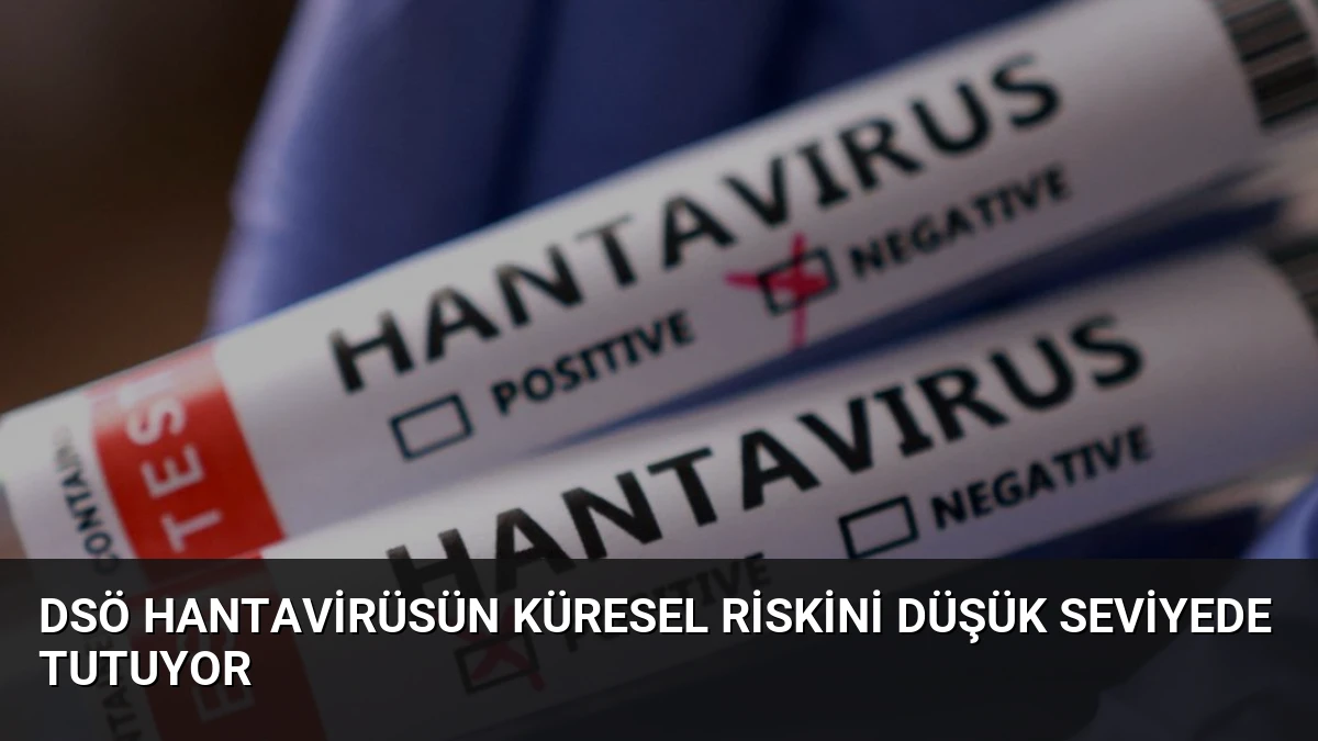 DSÖ Hantavirüsün Küresel Riskini Düşük Seviyede Tutuyor