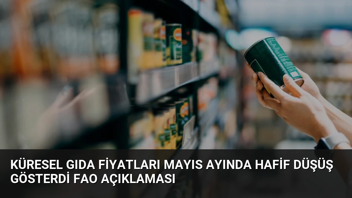 Küresel Gıda Fiyatları Mayıs Ayında Hafif Düşüş Gösterdi FAO Açıklaması