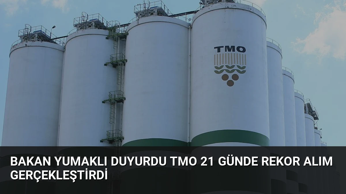 Bakan Yumaklı Duyurdu TMO 21 Günde Rekor Alım Gerçekleştirdi