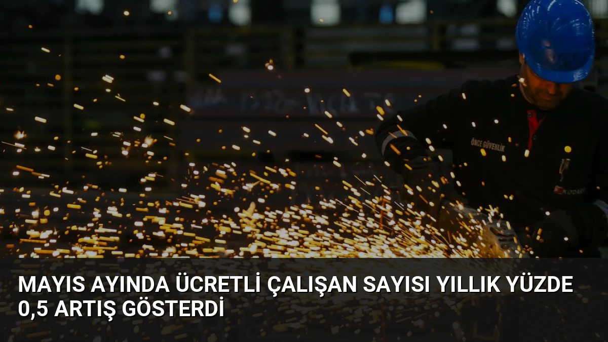 Mayıs Ayında Ücretli Çalışan Sayısı Yıllık Yüzde 0,5 Artış Gösterdi