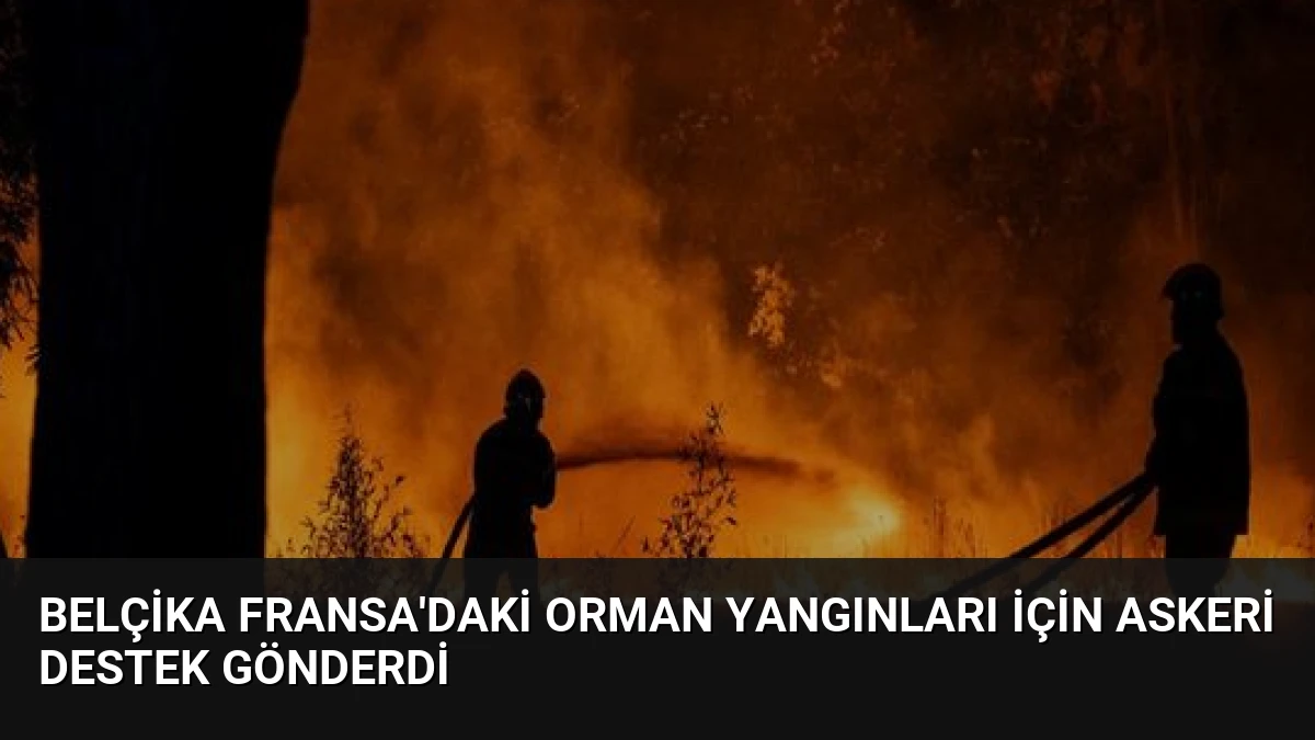 Belçika Fransa’daki Orman Yangınları İçin Askeri Destek Gönderdi