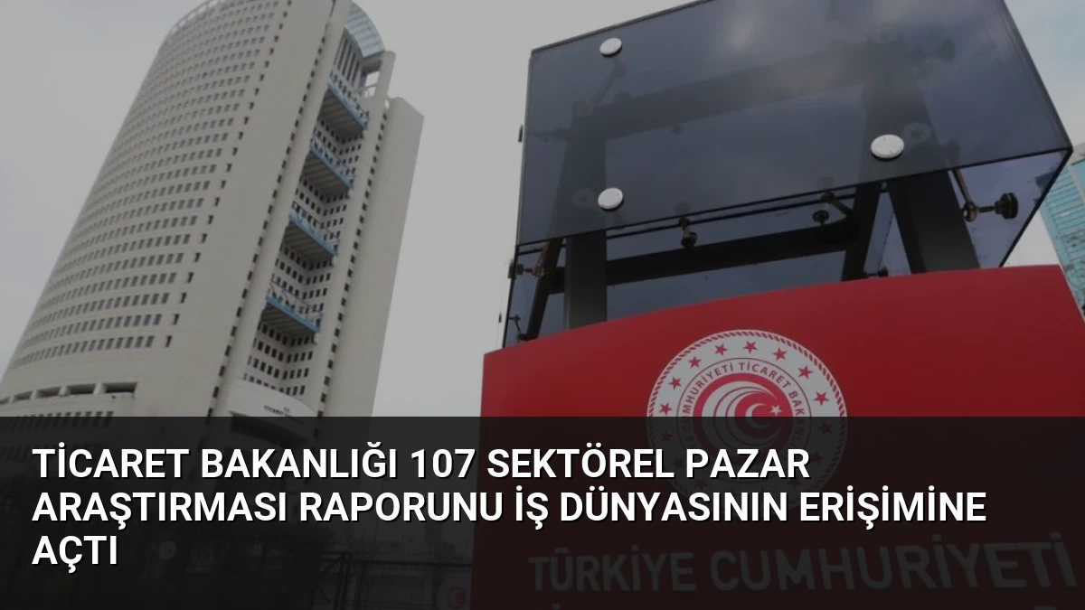 Ticaret Bakanlığı 107 Sektörel Pazar Araştırması Raporunu İş Dünyasının Erişimine Açtı