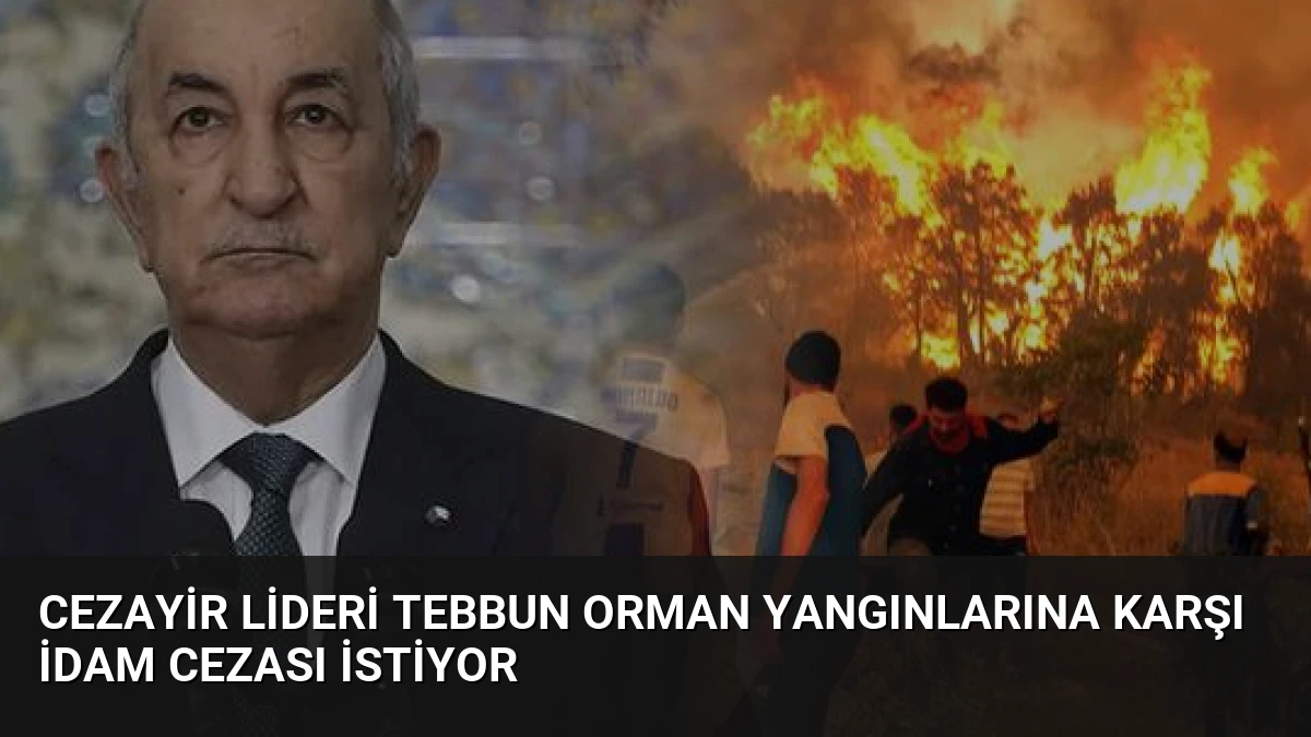 Cezayir Lideri Tebbun Orman Yangınlarına Karşı İdam Cezası İstiyor