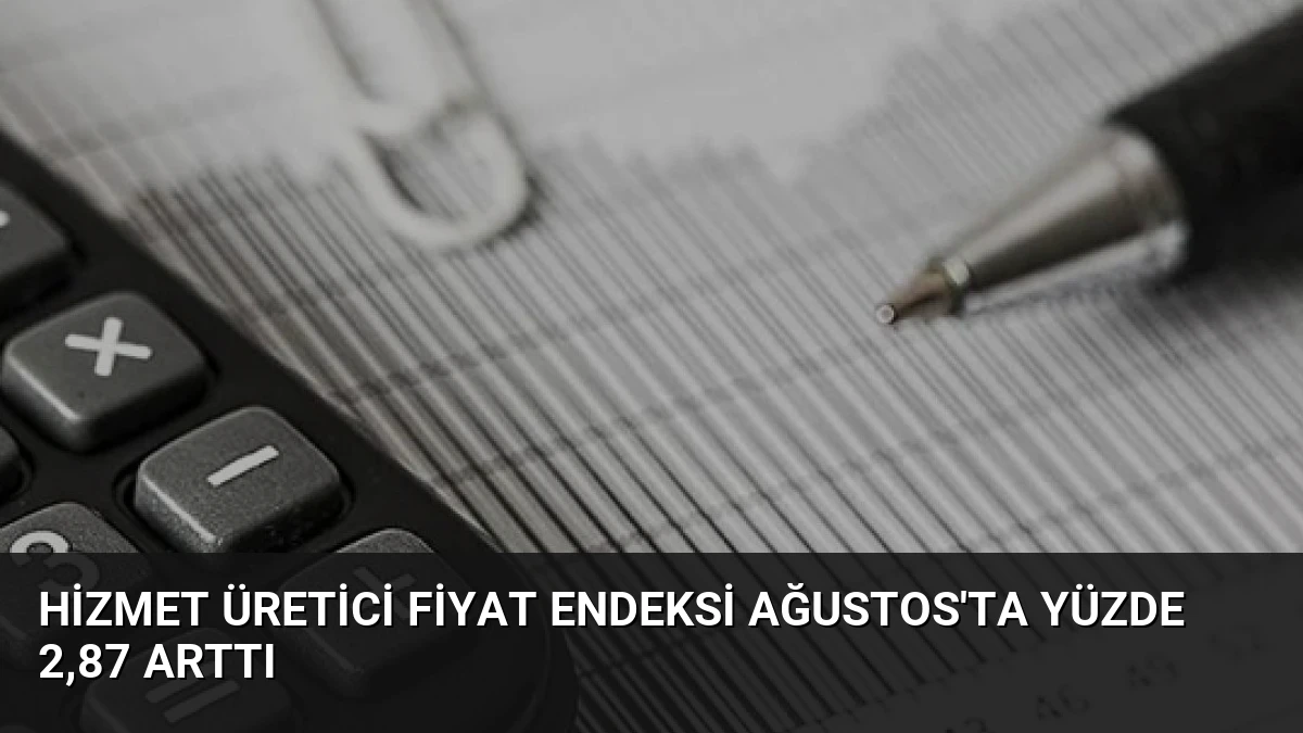Hizmet Üretici Fiyat Endeksi Ağustos’ta Yüzde 2,87 Arttı
