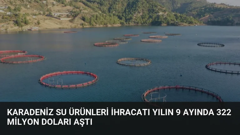 Karadeniz Su Ürünleri İhracatı Yılın 9 Ayında 322 Milyon Doları Aştı